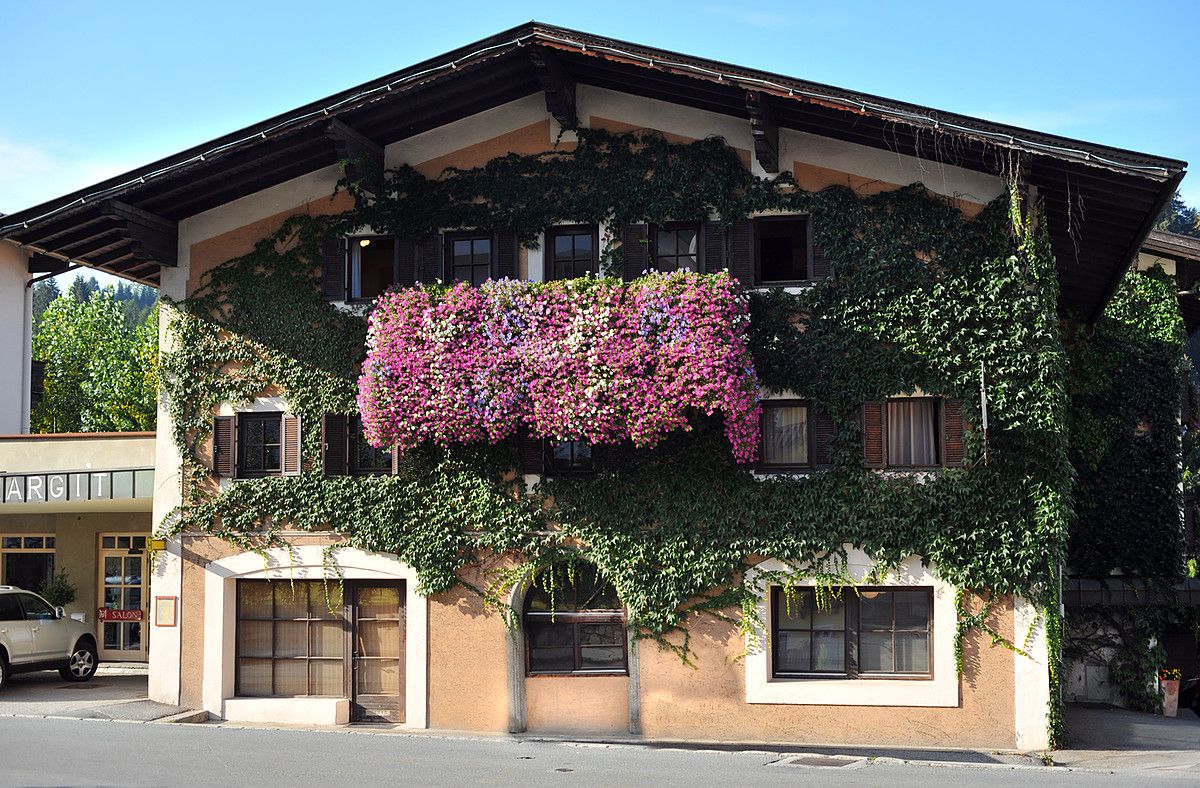 Edificio