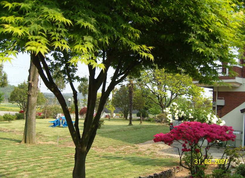 Vista del exterior Foto
