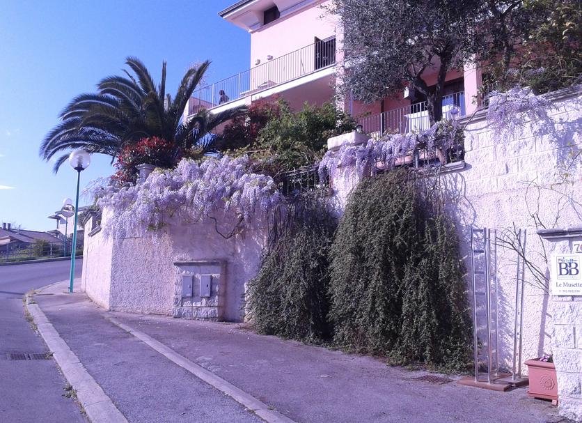 Vista del exterior Foto