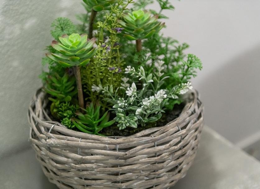 Decoración Foto