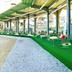 Campo de Golf