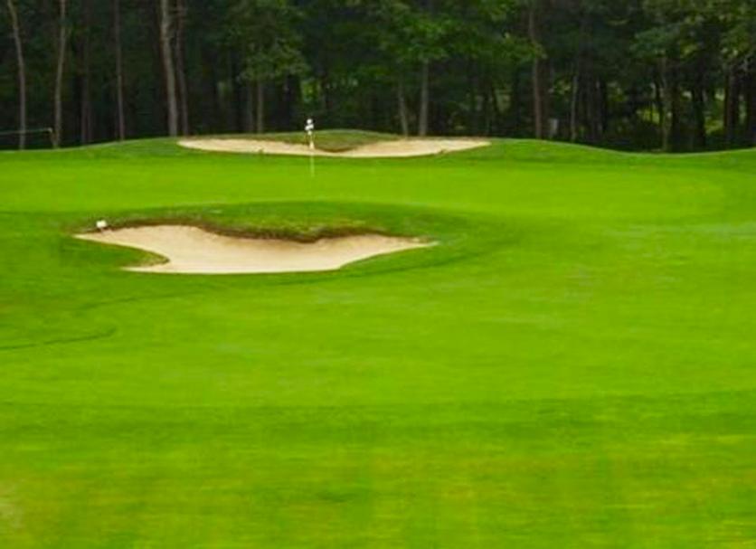 Campo de Golf Foto