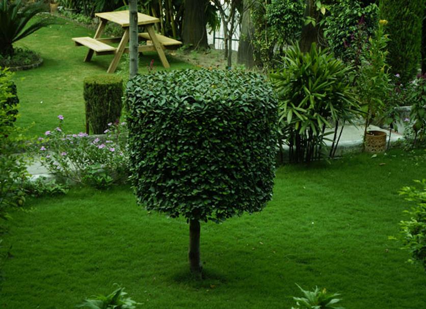 Vista del exterior Foto