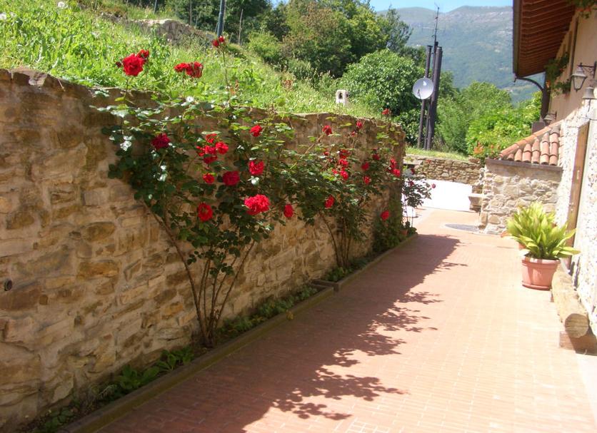 Vista del exterior Foto