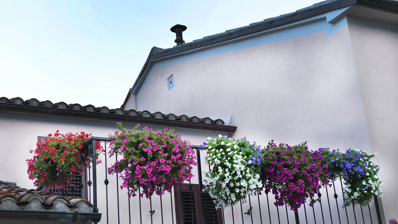 B&B Vetralla