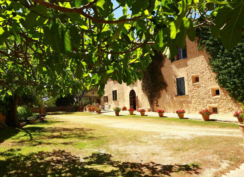 Vista del exterior Foto