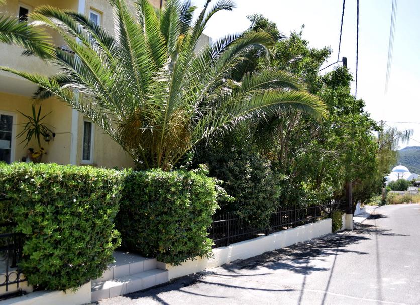 Vista del exterior Foto