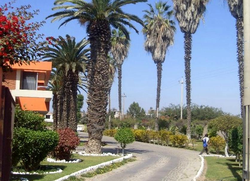 Vista del exterior Foto