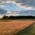 Campo de Golf