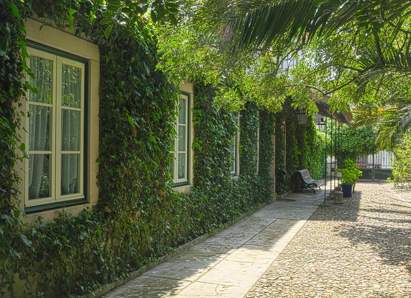 Vista del exterior Foto