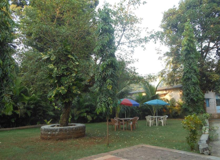 Patio Foto