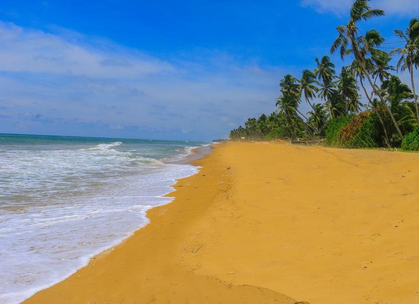 Playa Foto